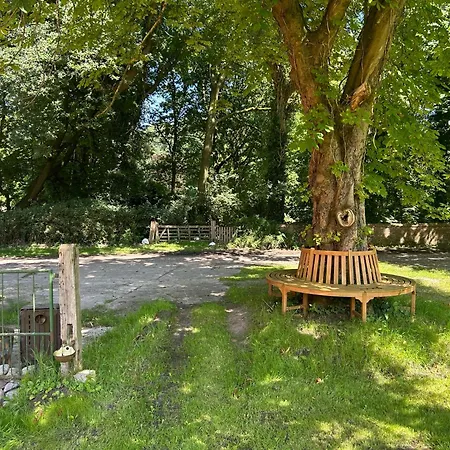 Ferienwohnung Mit Garten In Meyenburg - Keine Monteure Schwanewede Exterior photo