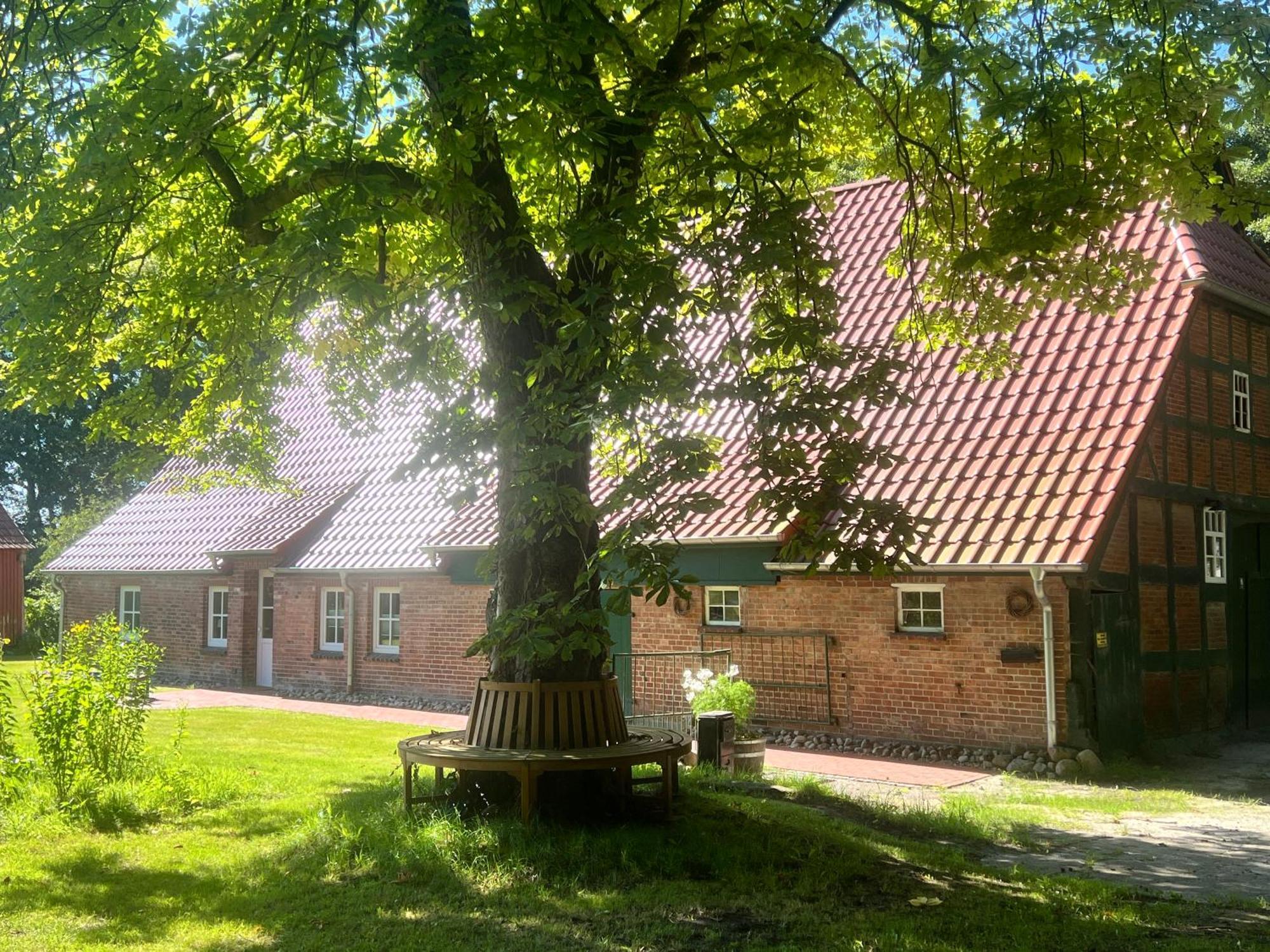 Mit Garten In Meyenburg - Keine Monteure Apartment Schwanewede