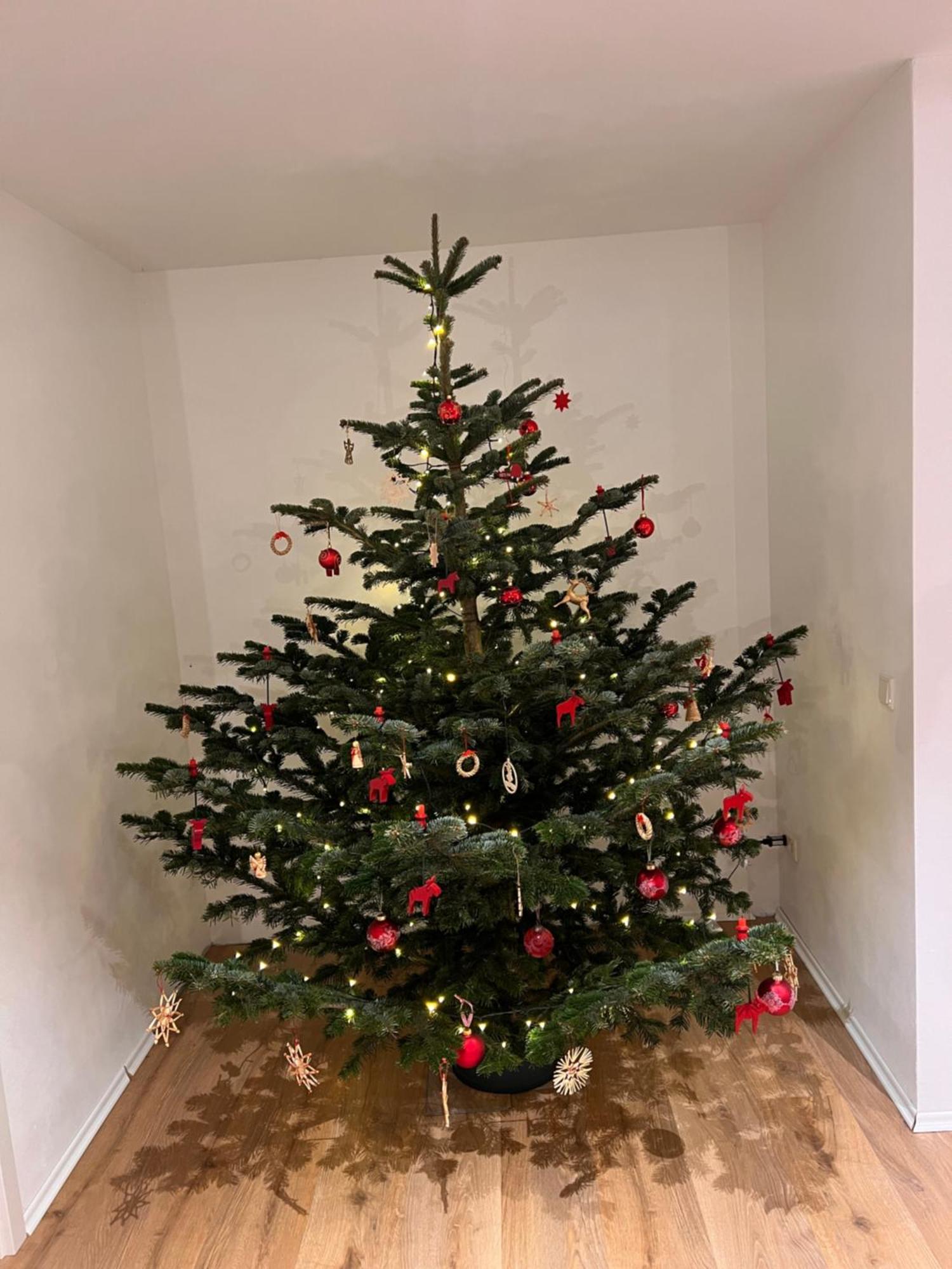 Apartment Mit Garten In Meyenburg - Keine Monteure